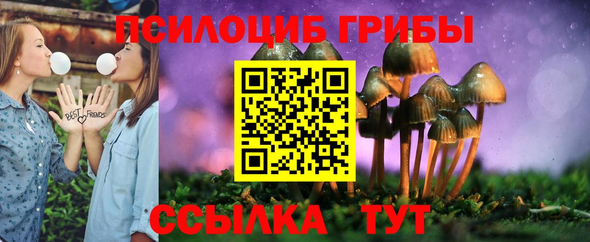 Псилоцибиновые грибы MAGIC MUSHROOMS Строитель